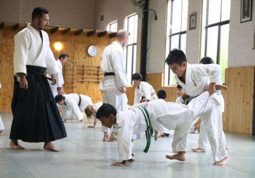 gracie brazilian jiu jitsu