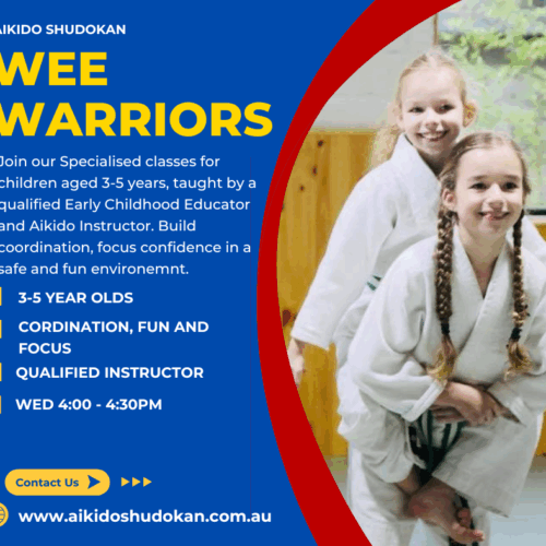 Wee Warriors Aikido Class Poster