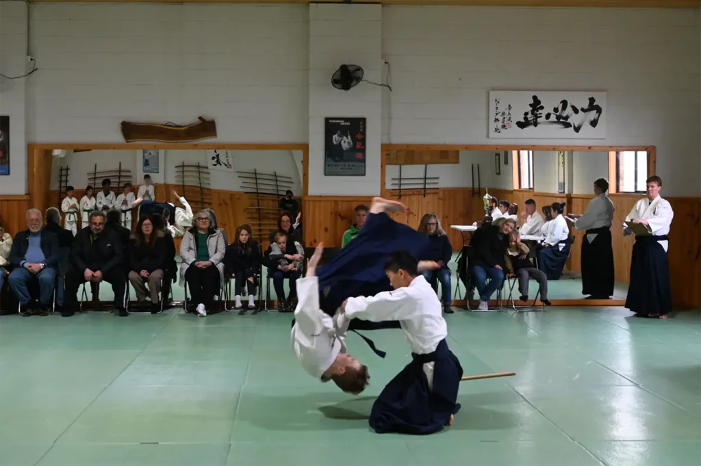 Which art is best for self-defense?